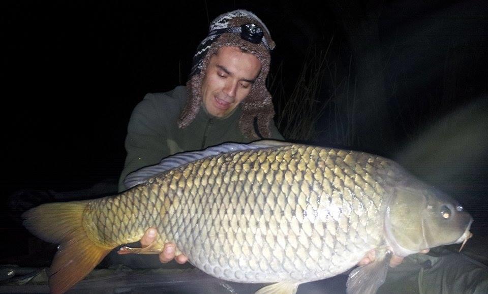 Tancabesti 28 - 29 mar. - 10154931633649430021479704392954n.jpg